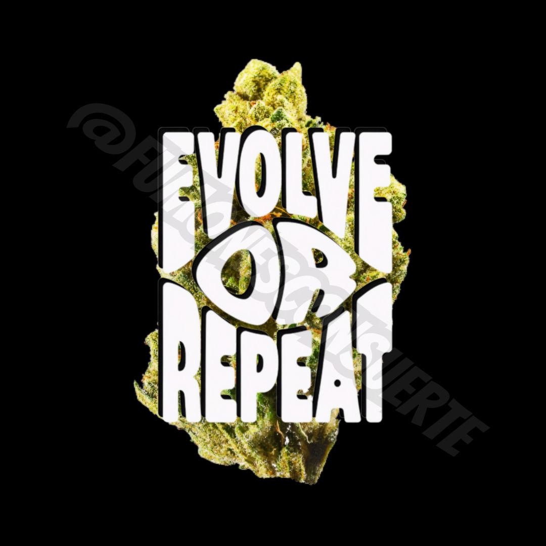 EVOLVE OR REPEAT